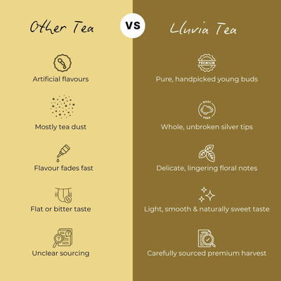 Silver Needle White Tea – Hand-Plucked, Rich in Antioxidants – 50g – Tea on Brown Living™. SKU: WTTin50New. Img 6.
