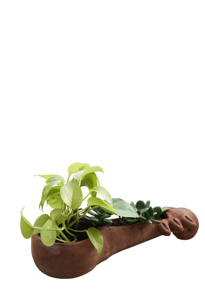 Sitar Vibe Earthen Planter – Pots & Planters on Brown Living™. SKU: A0_plt_0024. Img 8.