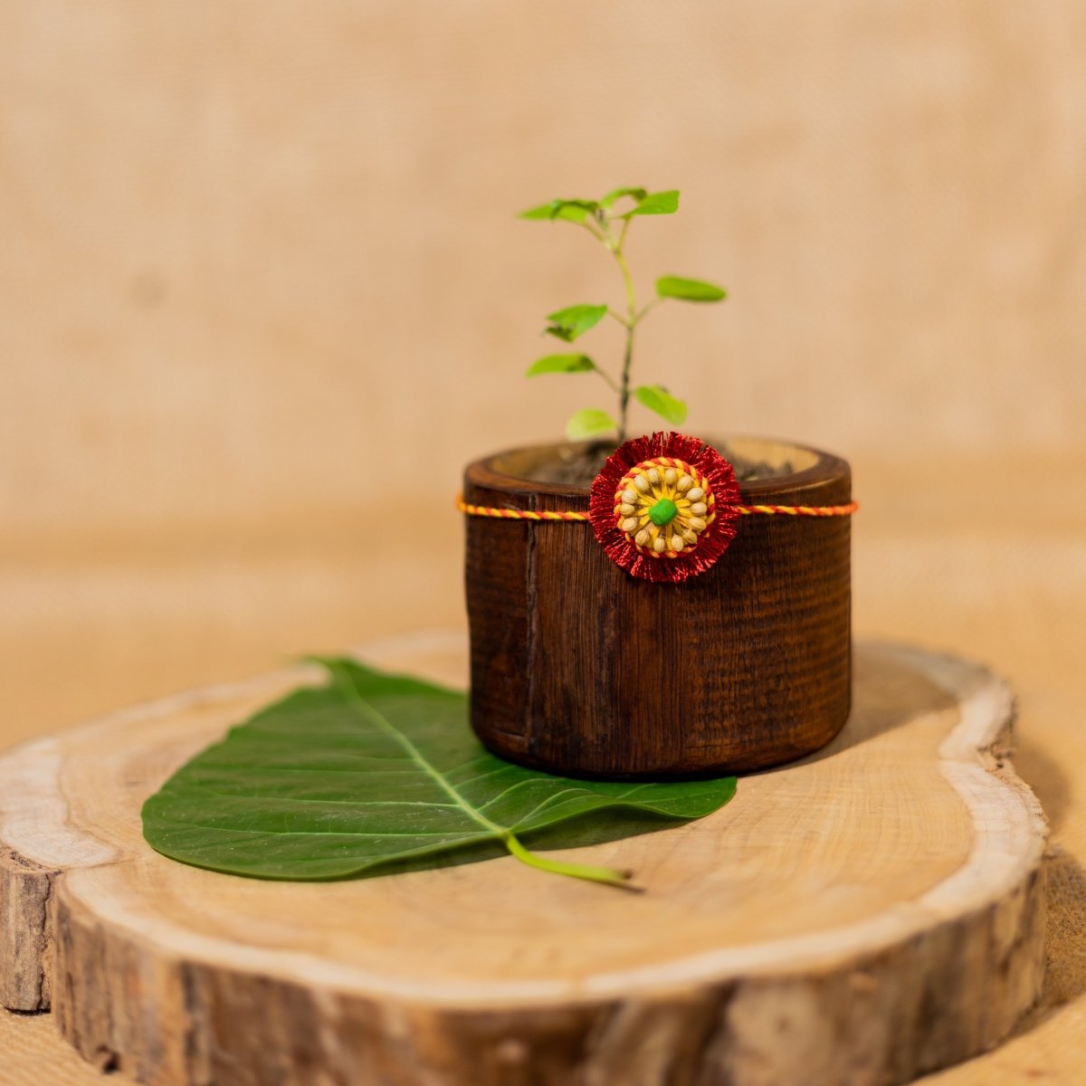 Sneh Handmade Plantable Eco - friendly Rakhi | Grows into Plant – Rakhi by Scrapshala available on Brown Living™. . SKU: SSR010. Img 4.