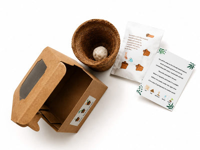 Sow & Grow Mini Planting Kit | Eco-Friendly Gardening Gift – Pots & Planters on Brown Living™. SKU: BRC-SGMPK-001. Img 1.