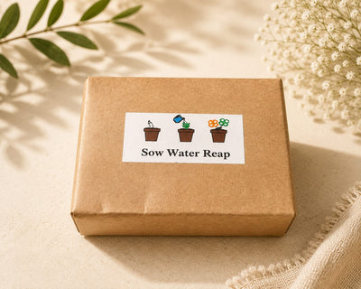Sow & Grow Mini Planting Kit | Eco-Friendly Gardening Gift – Pots & Planters on Brown Living™. SKU: BRC-SGMPK-001. Img 4.