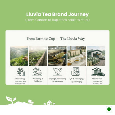 Spearmint Green Tea – Balance Hormones & Improve Digestion – 50g – Tea on Brown Living™. SKU: AMCZip50New. Img 7.