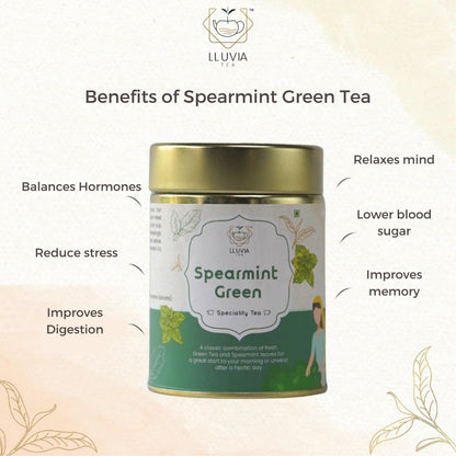 Spearmint Green Tea - Balance Hormones & Improve Digestion - 50g | Verified Sustainable by Brown Living™