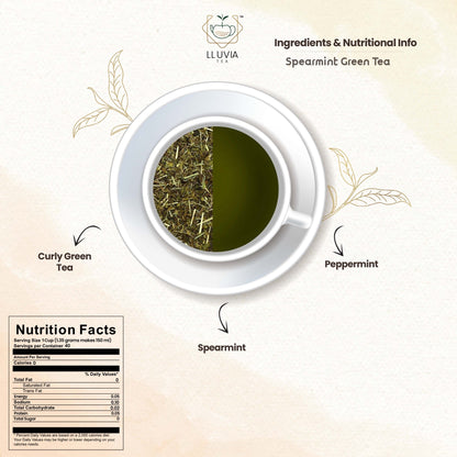 Spearmint Green Tea - Balance Hormones & Improve Digestion - 50g | Verified Sustainable by Brown Living™