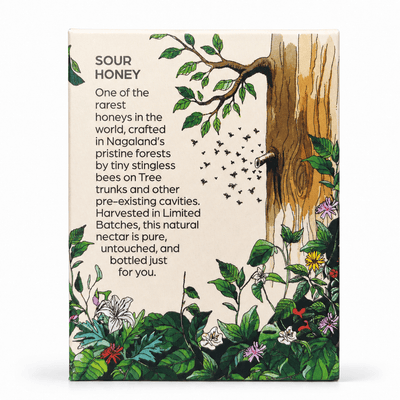 Stingless Bee Honey 120g | Raw Natural Honey – Honey & Syrups on Brown Living™. SKU: GSB120g. Img 4.