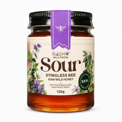 Stingless Bee Honey 120g | Raw Natural Honey – Honey & Syrups on Brown Living™. SKU: GSB120g. Img 1.