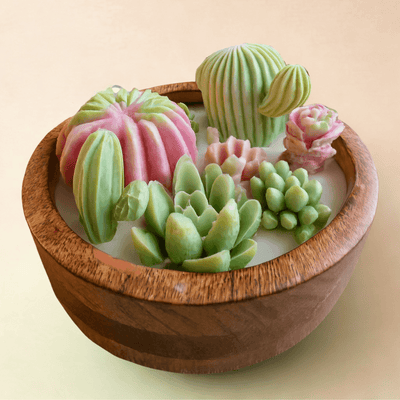 Succulent Scented Candle | Diwali Home Decor & Gifting – Candles & Fragrances on Brown Living™. SKU: LUSH_0001. Img 3.