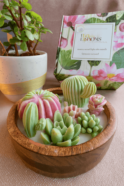 Succulent Scented Candle | Diwali Home Decor & Gifting – Candles & Fragrances on Brown Living™. SKU: LUSH_0001. Img 1.