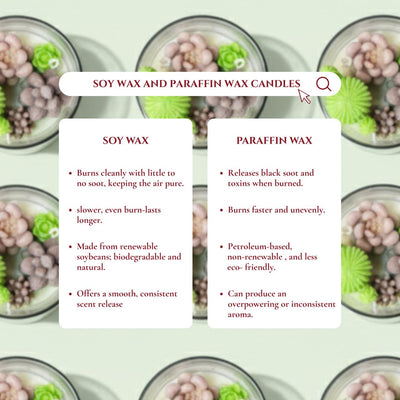 Succulent Scented Candle - Fresh Green Fragrance Home Decor – Candles & Fragrances on Brown Living™. SKU: SS-08. Img 4.