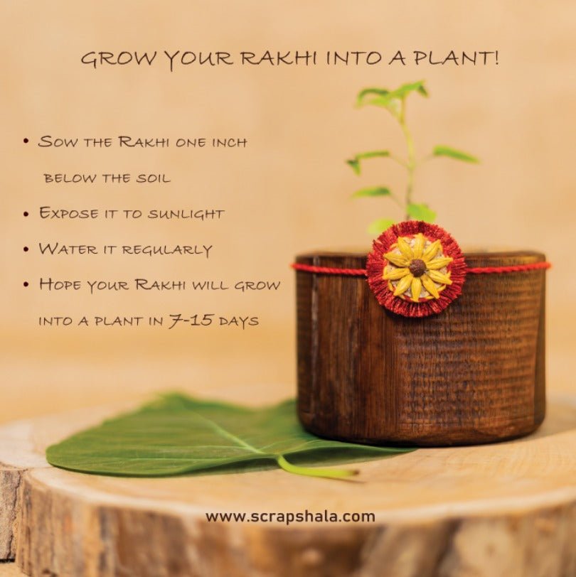Surajmukhi Handmade Plantable Eco - friendly Rakhi wih Roli Chawal | Grows into Plant – Rakhi by Scrapshala available on Brown Living™. . SKU: SSR08a. Img 3.