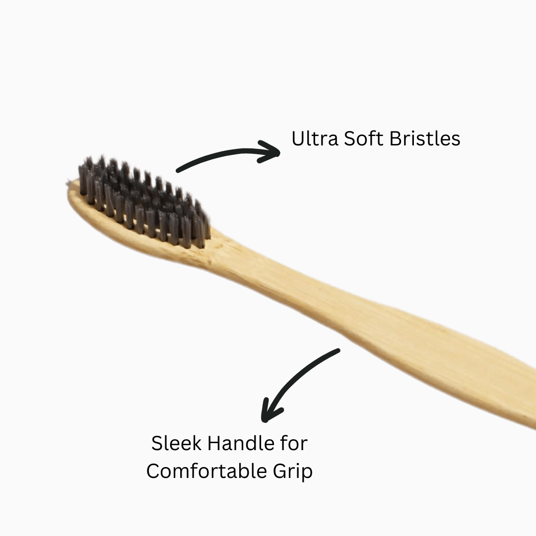 Biodegradable Bamboo Toothbrush with Compostable Handle | Verified Sustainable by Brown Living™