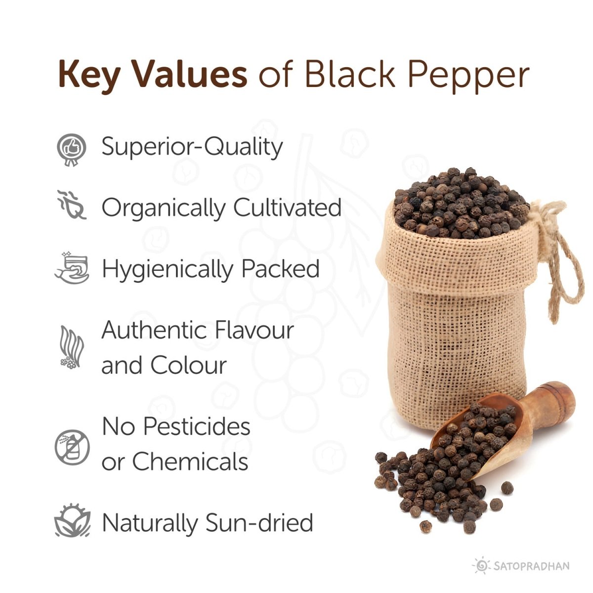 Black Pepper 100g - Organic, Natural Whole Spices | Verified Sustainable by Brown Living™