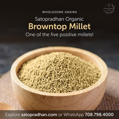 Browntop Millet 800g - Organic, Gluten - Free, Unpolished | Verified Sustainable by Brown Living™