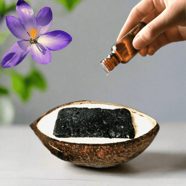 Coconutshell Claystone Aroma Diffuser Camphor Peppermint Citrus Fruit Fragrance | Verified Sustainable by Brown Living™