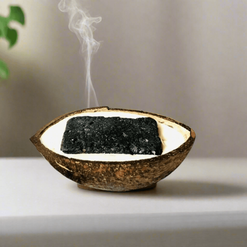 Coconutshell Claystone Aroma Diffuser Ocean - Sea Breeze Fragrance | Verified Sustainable by Brown Living™