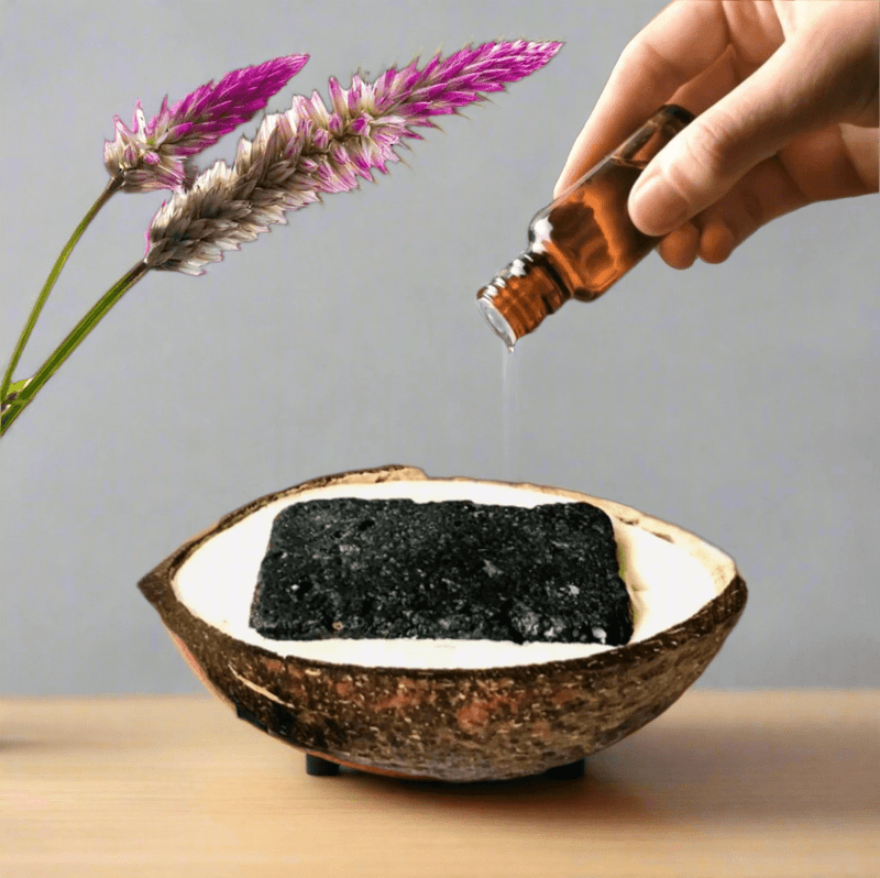 Coconutshell Claystone Aroma Diffuser Sandalwood - Vanilla Frankincense Fragrance | Verified Sustainable by Brown Living™