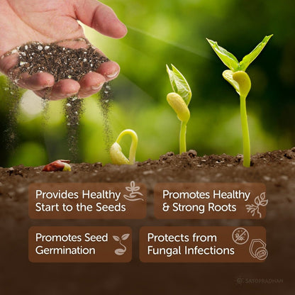 Cocopeat Mix 2.5kg - Organic, Ready - to - Use | Verified Sustainable by Brown Living™