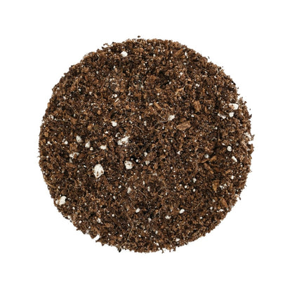 Cocopeat Mix 2.5kg - Organic, Ready - to - Use | Verified Sustainable by Brown Living™