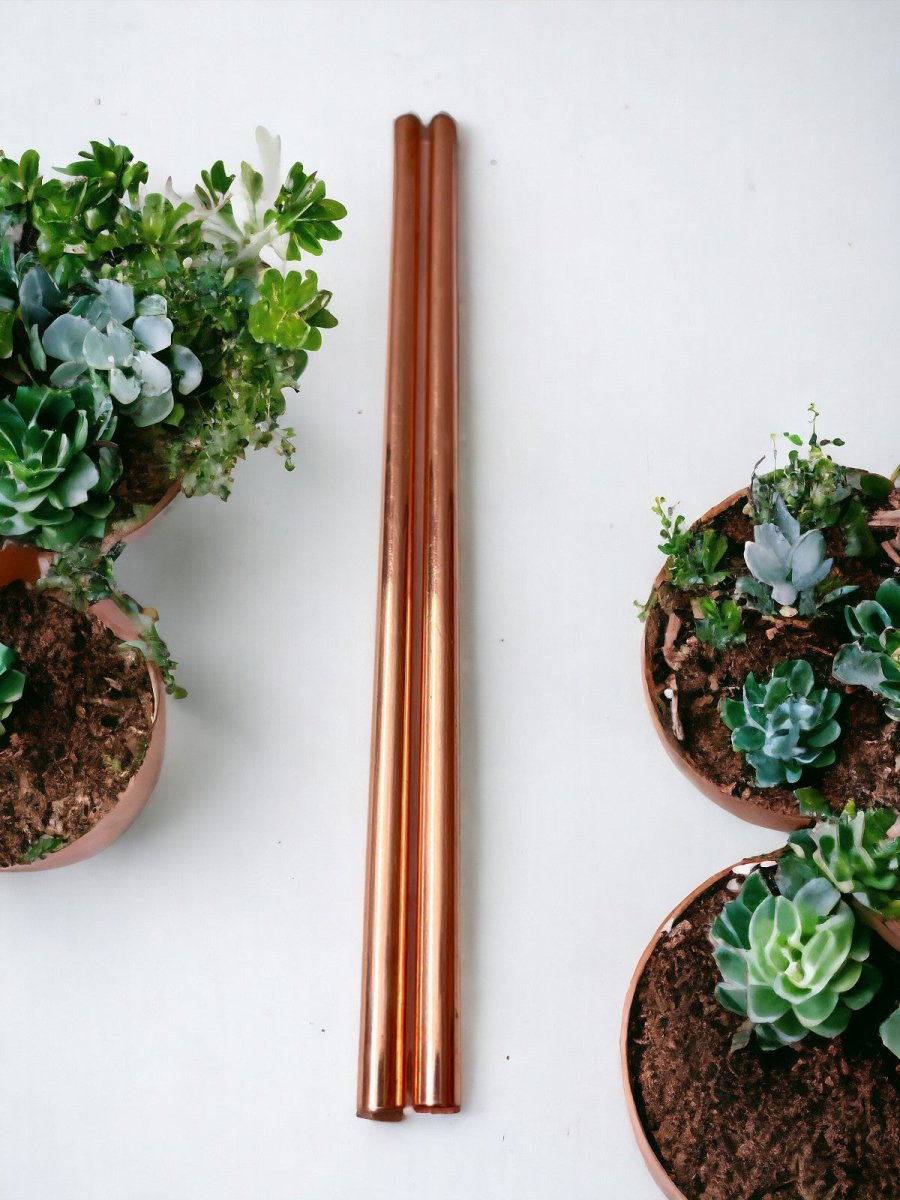 Copper Reusable Straws with Cleaner - Pack of 2 – Drinking Straws & Stirrers by ONEarth available on Brown Living™. Straight . SKU: OEP215_24BL6330. Img 4.