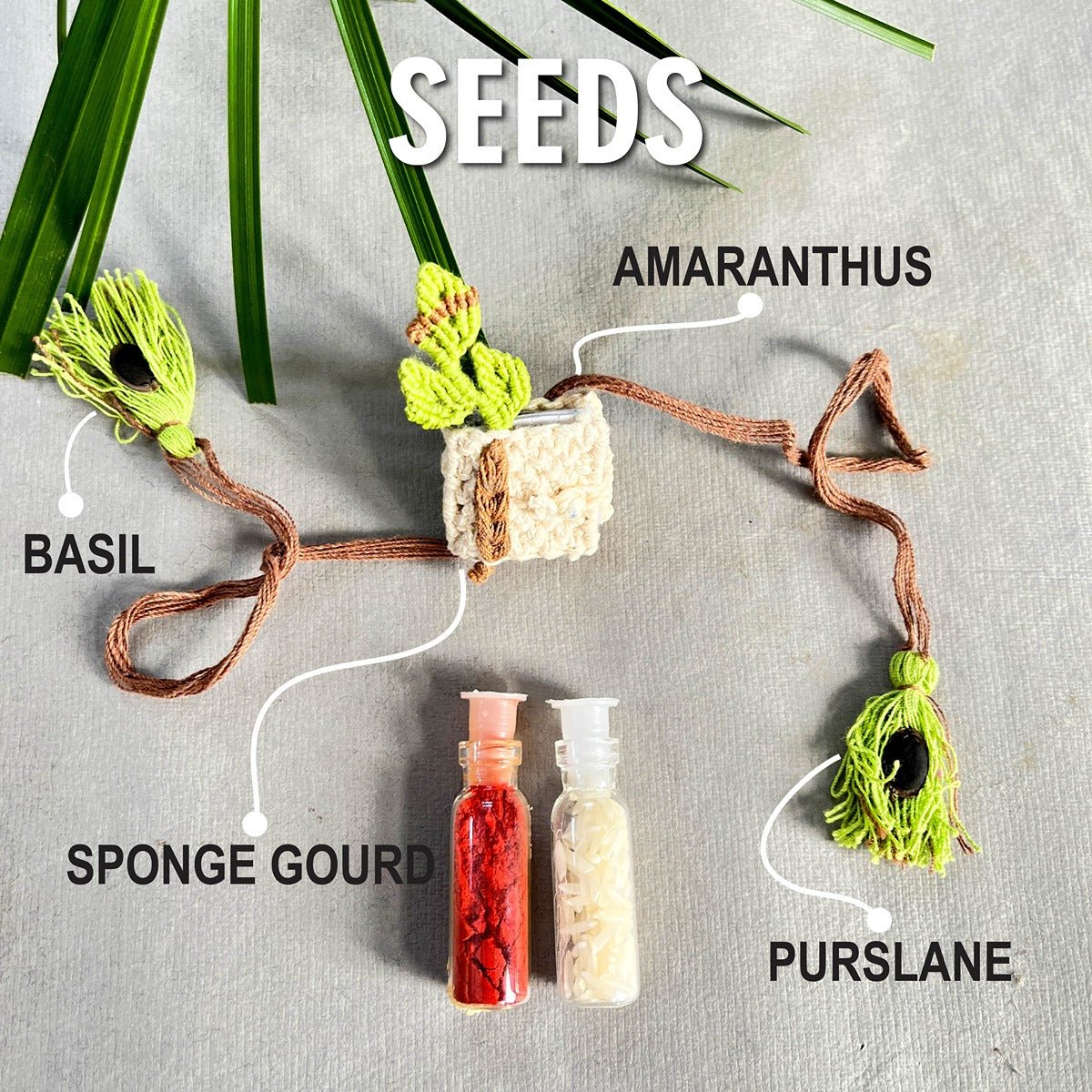 Dear Diary - Plantable I Eco Friendly Rakhi Embedded With Seeds | Verified Sustainable by Brown Living™