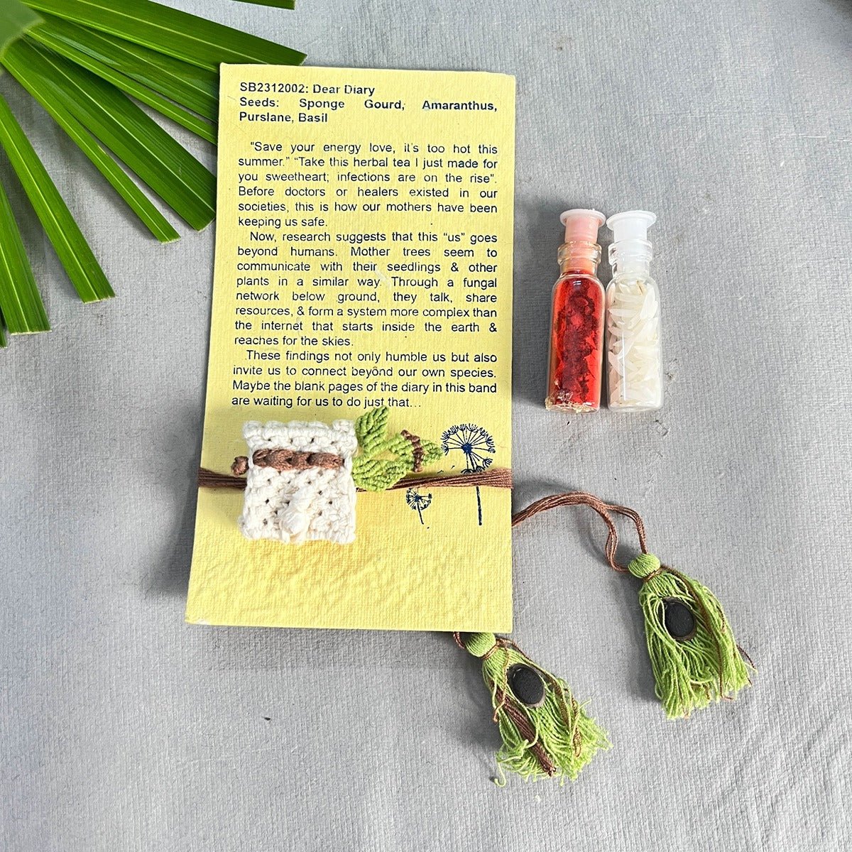 Dear Diary - Plantable I Eco Friendly Rakhi Embedded With Seeds | Verified Sustainable by Brown Living™