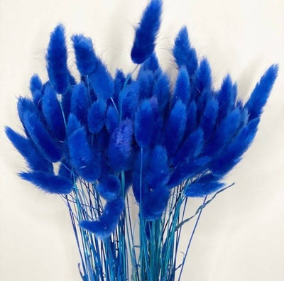 Dried Blue Bunny Tails – Decor & Artefacts on Brown Living™. SKU: 323. Img 3.