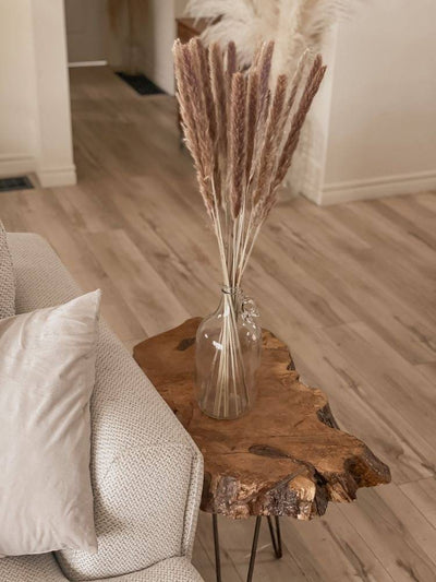 Dried Mini Brown Pampas – Decor & Artefacts on Brown Living™. SKU: 285. Img 2.