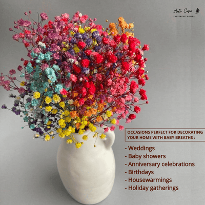 Dried Multiple Colour Baby Breaths – Decor & Artefacts on Brown Living™. SKU: 332. Img 3.