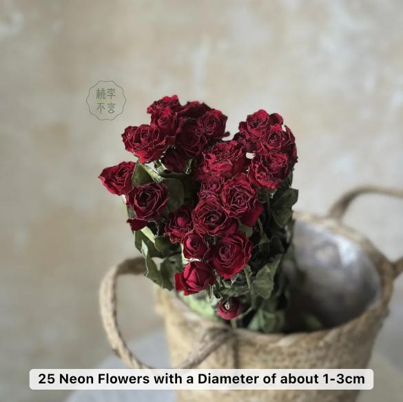 Dried Red Roses - Romantic Home Decor Bouquet | Verified Sustainable by Brown Living™