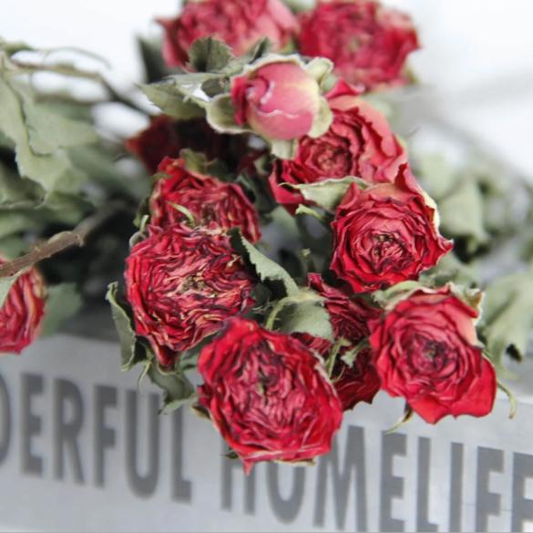 Dried Red Roses - Romantic Home Decor Bouquet | Verified Sustainable by Brown Living™