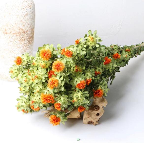 Dried Safflower - Rustic Natural Decor Bunch | Verified Sustainable by Brown Living™