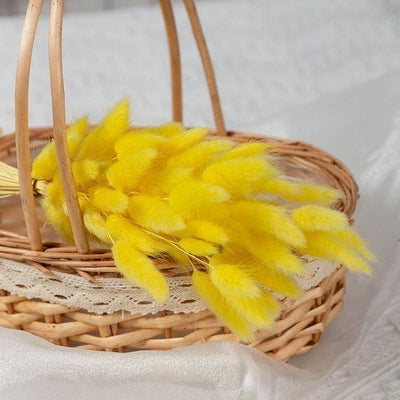 Dried Yellow Bunny Tails – Decor & Artefacts on Brown Living™. SKU: 3245254. Img 1.