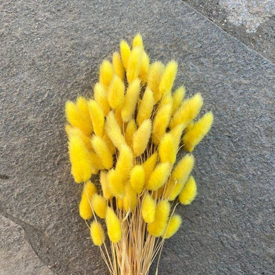 Dried Yellow Bunny Tails – Decor & Artefacts on Brown Living™. SKU: 3245254. Img 2.