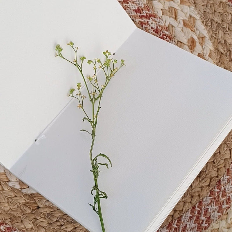 Eco - printed Handmade Journal - Blooming Green | Verified Sustainable by Brown Living™