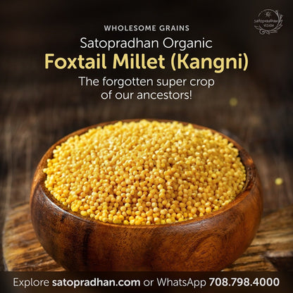 Foxtail Millet 800g - Organic, Gluten - Free, Natural Grain | Verified Sustainable by Brown Living™