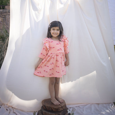 Hermit Crab Breathable Cotton Baby Dress – Organic Ruffle Style – Kids Frocks & Dresses on Brown Living™. SKU: AC - 04 - 0005/0 - 6M. Img 1.