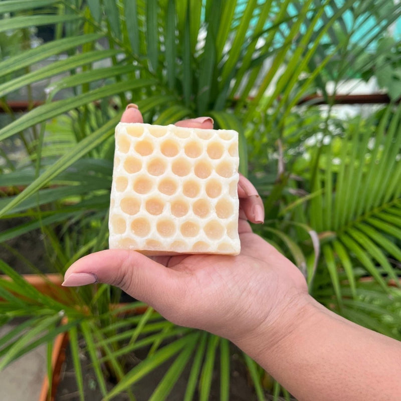 Jasmine Honeycomb Beeswax Soap | Verified Sustainable by Brown Living™