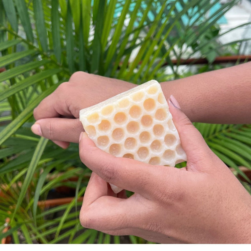 Jasmine Honeycomb Beeswax Soap | Verified Sustainable by Brown Living™