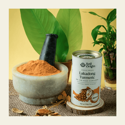 Lakadong Turmeric Powder | High Curcumin | 150g – Seasonings & Spices on Brown Living™. SKU: SOS0LT00G150. Img 7.