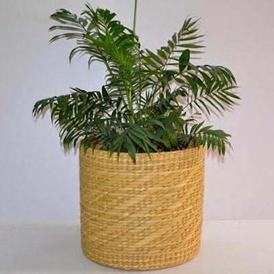 Lightweight Kauna Planter – Pots & Planters on Brown Living™. SKU: KAMPLT017A. Img 2.