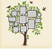 manual add product1 | Verified Sustainable by Brown Living™