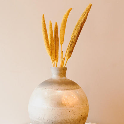 Mini Yellow Bazra Bunch for Decor | Verified Sustainable by Brown Living™