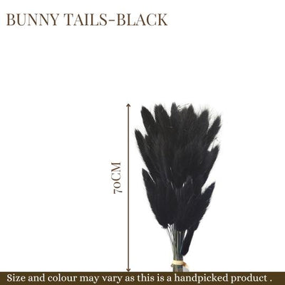 Naturally Dried Bunny Tails - Black – Decor & Artefacts on Brown Living™. SKU: DF - 82. Img 5.