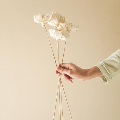 Naturally Dried Cabbage Flower - Set of 5 – Decor & Artefacts on Brown Living™. SKU: DF - 104. Img 1.