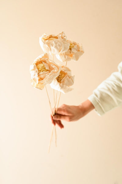 Naturally Dried Cabbage Flower - Set of 5 – Decor & Artefacts on Brown Living™. SKU: DF - 104. Img 5.