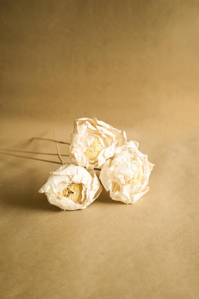 Naturally Dried Cabbage Flower - Set of 5 – Decor & Artefacts on Brown Living™. SKU: DF - 104. Img 6.