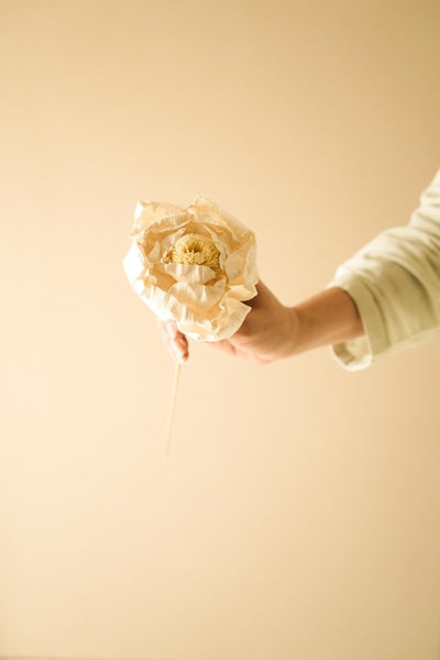 Naturally Dried Cabbage Flower - Set of 5 – Decor & Artefacts on Brown Living™. SKU: DF - 104. Img 3.