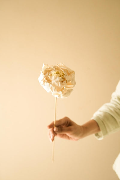 Naturally Dried Cabbage Flower - Set of 5 – Decor & Artefacts on Brown Living™. SKU: DF - 104. Img 4.