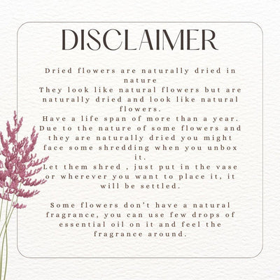Naturally Dried Pastel Pink Daisies Bunch – Decor & Artefacts on Brown Living™. SKU: 428. Img 3.