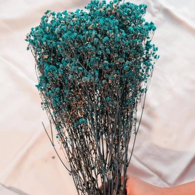 Naturally Dried Turquoise Blue Baby Breaths – Decor & Artefacts on Brown Living™. SKU: 412. Img 3.